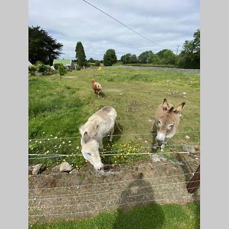 Breathneach House Villa Limerick Junction Eksteriør bilde
